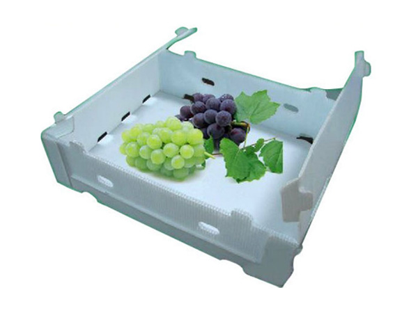  Fruit&vegetable packaging box